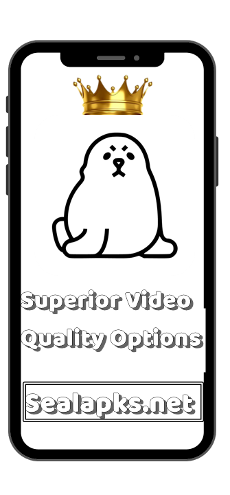 Superior Video Quality Options